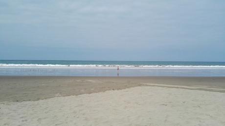 2017 ECUADOR (y III) dav