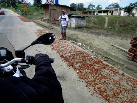 2017 ECUADOR (y III) IMG_3607