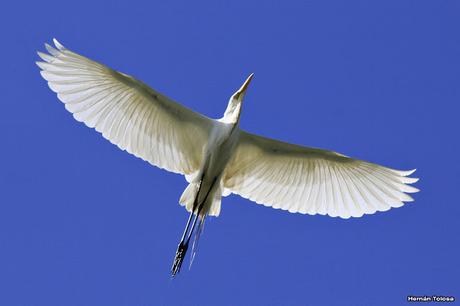 Percance en la laguna