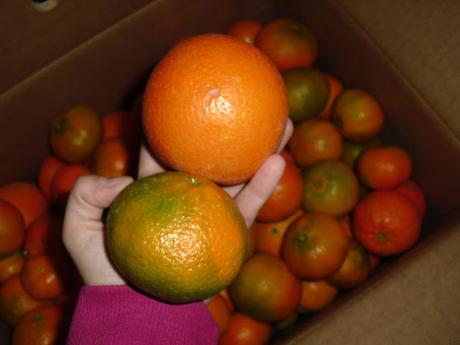 GALLETAS DE NARANJA