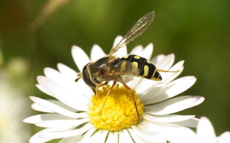 ¡Ya está aquí la primavera!