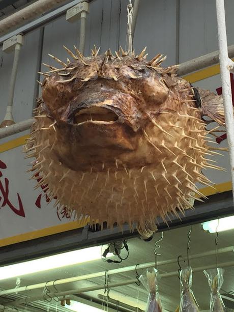 ¿Nos vamos a Hong Kong? ¿Nos vamos a Hong Kong?