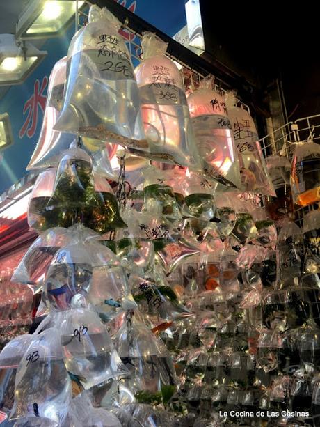 ¿Nos vamos a Hong Kong? ¿Nos vamos a Hong Kong?