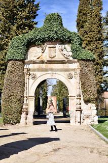 Dots & Baskets Dots & Baskets