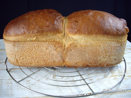 LECHE PARA TORRIJAS 