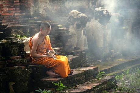 El poderoso mensaje de esta historia budista: “Cuando no sepas qué hacer, no hagas nada”