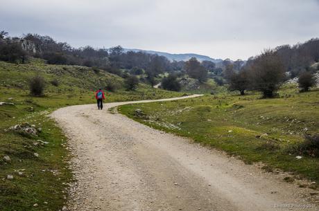 Todo el camino por delante