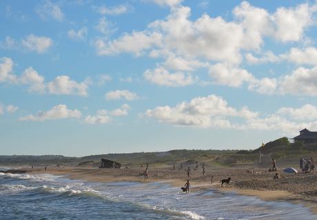 Uruguay: días de playa con perro {Parte II - La Pedrera}