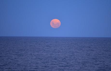 Uruguay: días de playa con perro {Parte II - La Pedrera}