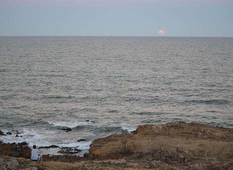 Uruguay: días de playa con perro {Parte II - La Pedrera}