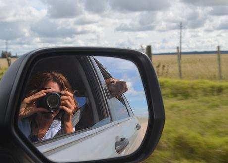 Uruguay: días de playa con perro {Parte II - La Pedrera}