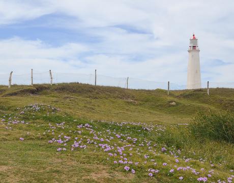 Uruguay: días de playa con perro {Parte II - La Pedrera}