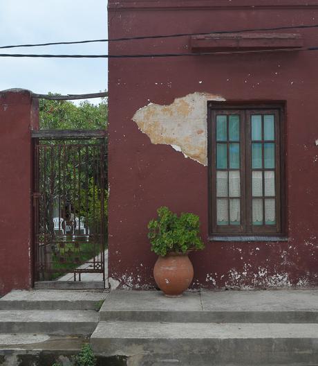 Uruguay: días de playa con perro {Parte II - La Pedrera}