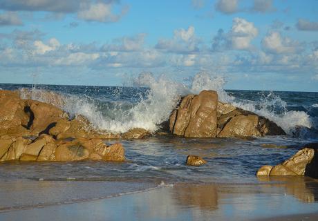 Uruguay: días de playa con perro {Parte II - La Pedrera}