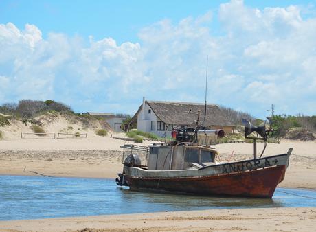 Uruguay: días de playa con perro {Parte II - La Pedrera}