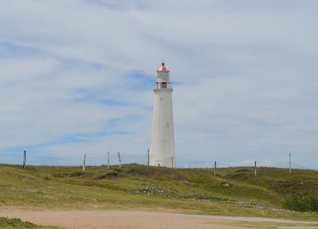 Uruguay: días de playa con perro {Parte II - La Pedrera}