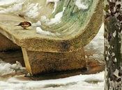 Gorriones banco nieve