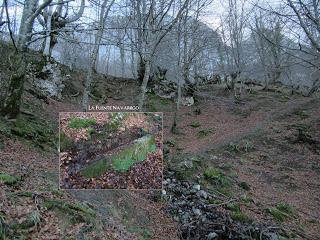 Felechosa-Monte Alende-El Pino