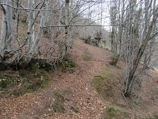 Felechosa-Monte Alende-El Pino