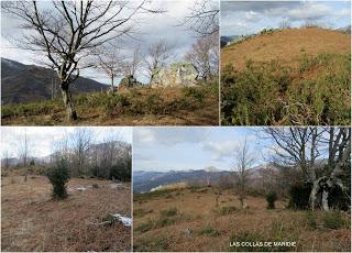 Felechosa-Monte Alende-El Pino