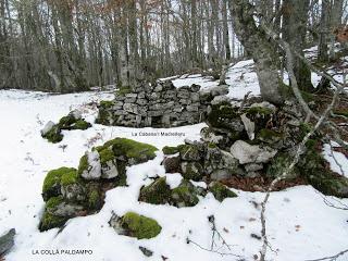 Felechosa-Monte Alende-El Pino