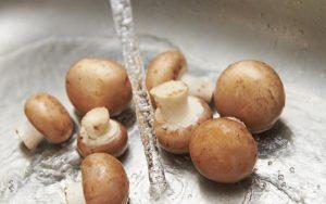 Receta: Pechugas con setas. Fácil y rápida.