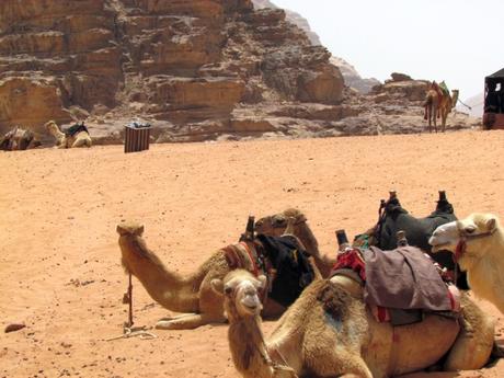 Desierto de Wadi Rum, Jordania