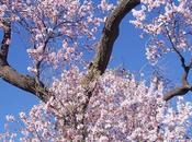 Días Primavera