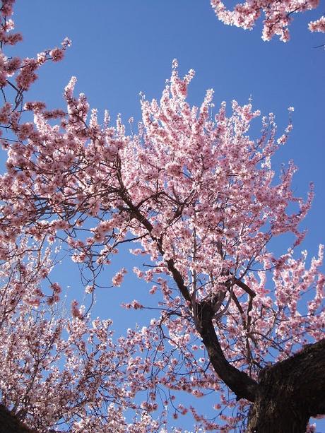 Días de Primavera