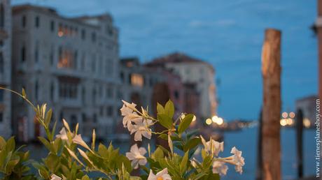 VIaje Venecia Italia cenar vistas