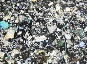 plástico dentro Great Pacific Garbage Patch está 'aumentando exponencialmente', científicos encuentran