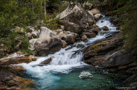 De las montañas De las montañas