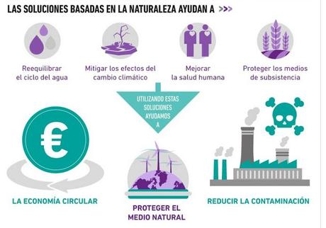 22 DE MARZO: DÍA INTERNACIONAL DEL AGUA