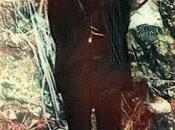 insulto Martí concierne todos