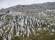 Roca peinada