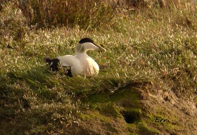 LOS VECINOS DEL NORTE SE RESISTEN A ABANDONAR