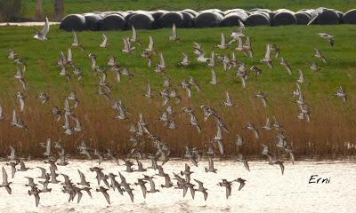 LOS VECINOS DEL NORTE SE RESISTEN A ABANDONAR