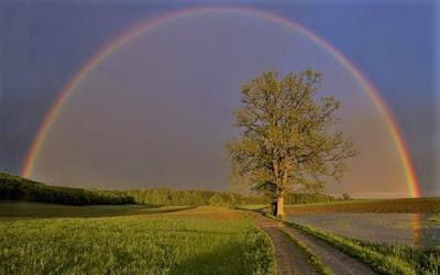 Las acciones según se miren.