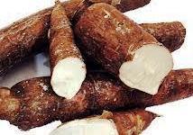 Pastelón de Yuca y Pescado, Pastel para Semana Santa: Receta Saludable