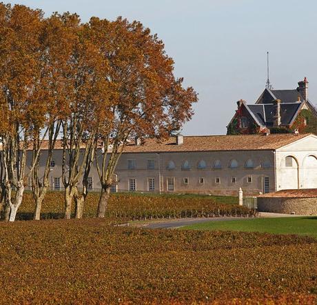 Top 3 de viajes diseñados para enamorarte del vino