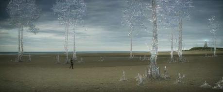 Annihilation, o sobre la reflexión Annihilation, o sobre la reflexión