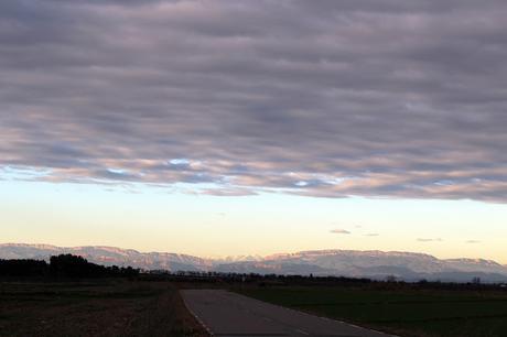 Los muertos no se van Los muertos no se van