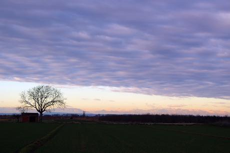 Los muertos no se van Los muertos no se van