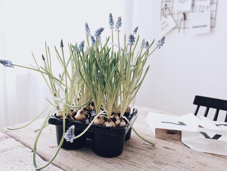 post del macetero love