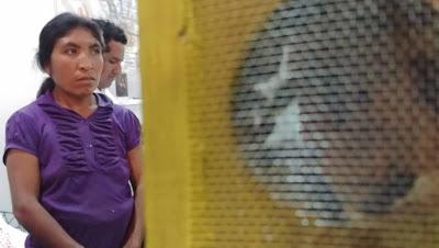 Apicultores de Oaxaca, a contracorriente Apicultores de Oaxaca, a contracorriente