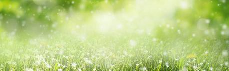 Tipos de alergias al polen