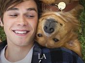 Mundo cinéfilo (71): mejor amigo', hombre llamado Ove', cura mortal', 'Wonder', ritual', 'Aniquilación'