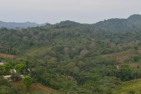 República Dominicana avanza para implementar REDD+