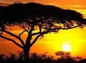 África está partiendo dos, ¿qué ocurre realmente?