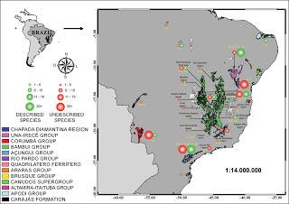 Fauna subterránea de Brasil y amenazas al medio subterráneo